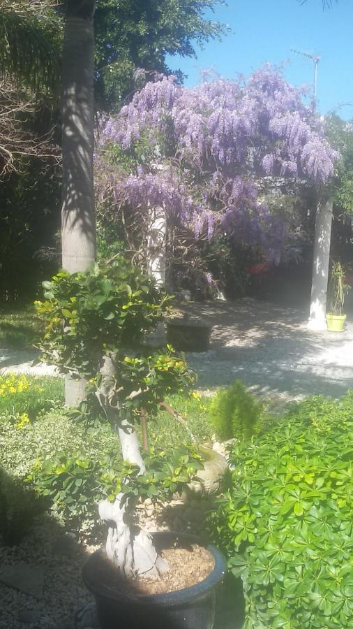 Villa Amadeus Xabia Balcon del Mar Εξωτερικό φωτογραφία