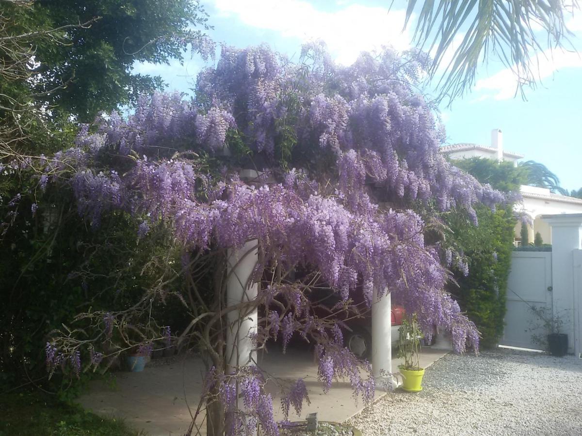 Villa Amadeus Xabia Balcon del Mar Εξωτερικό φωτογραφία