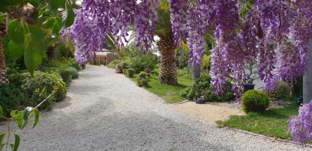 Villa Amadeus Xabia Balcon del Mar Εξωτερικό φωτογραφία